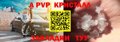 стаф Моздок