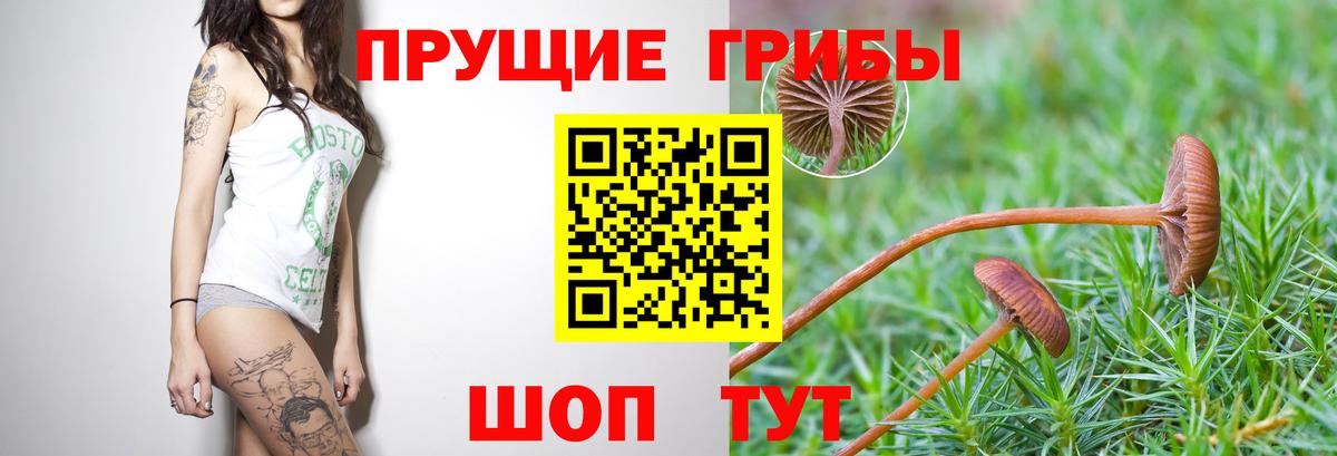 Галлюциногенные грибы мицелий  Вход с VPN  Феодосия 